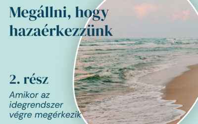 2. rész – Amikor az idegrendszer végre megérkezik