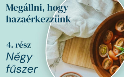 4. rész – Négy fűszer
